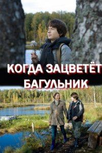 Когда зацветёт багульник (1 сезон)